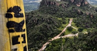 Sancionada a inclusão da Caminhada Ecológica no Calendário Cívico Cultural de Goiás